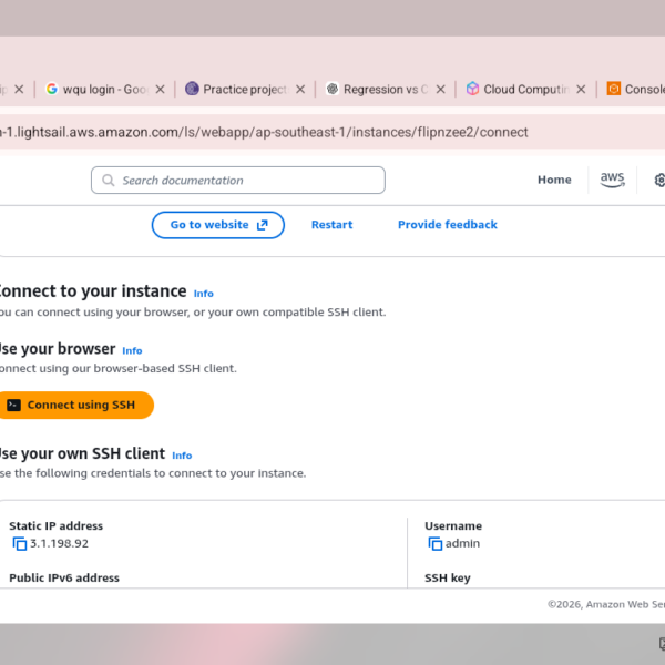 aws lightsail ssh
